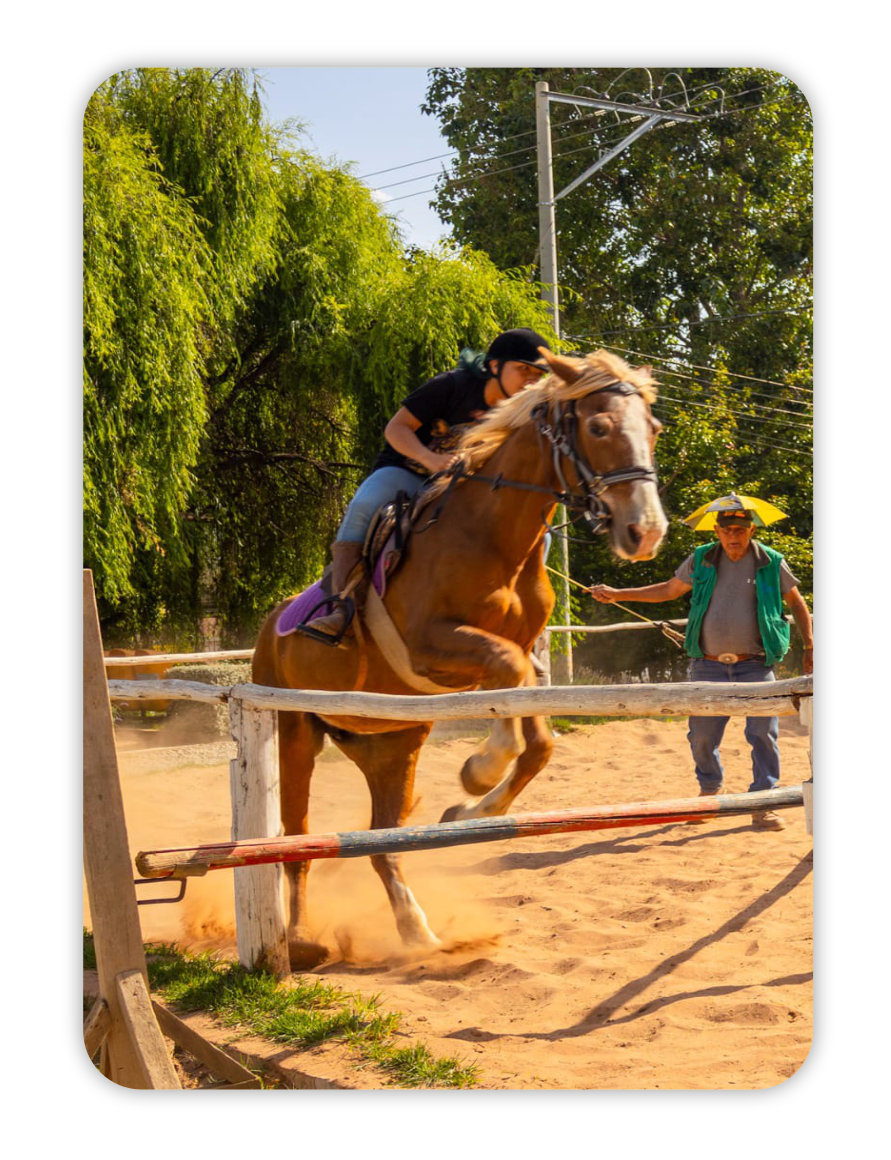 imagen de la página